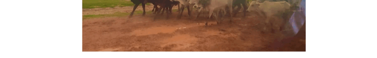 Drought Contingency Plan