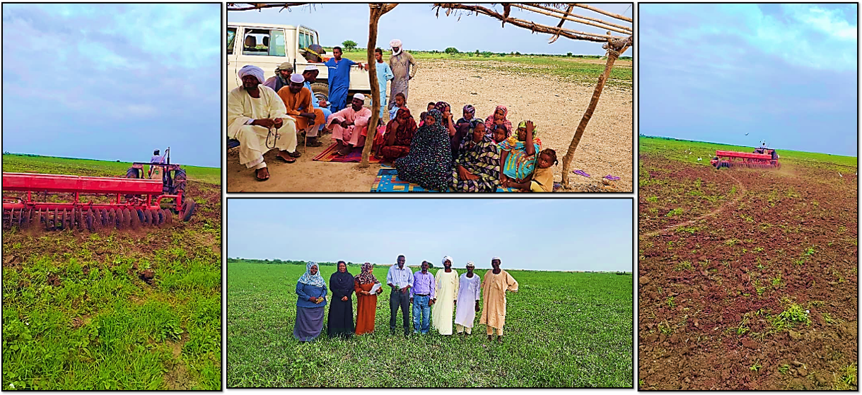 Strengthening Livelihoods Through Better Fodder
